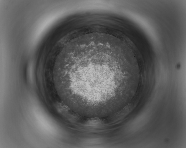 X0000116780189201001071245