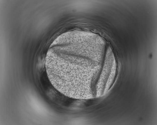 X0000116780190201001071245