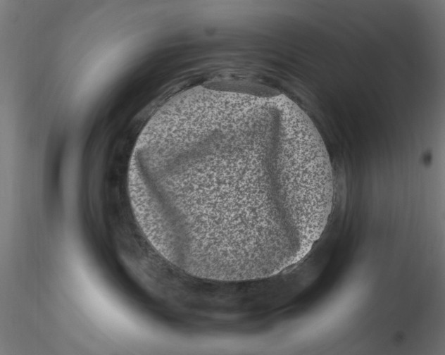 X0000116780191201001071245