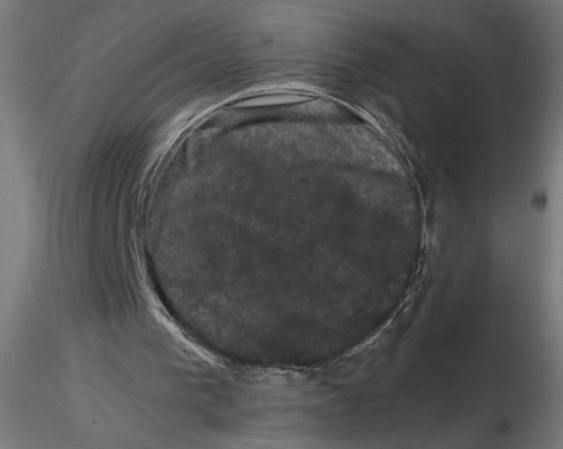 X0000116780193201001071244