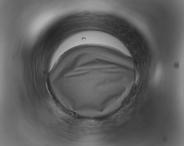 X0000116780195201001071244