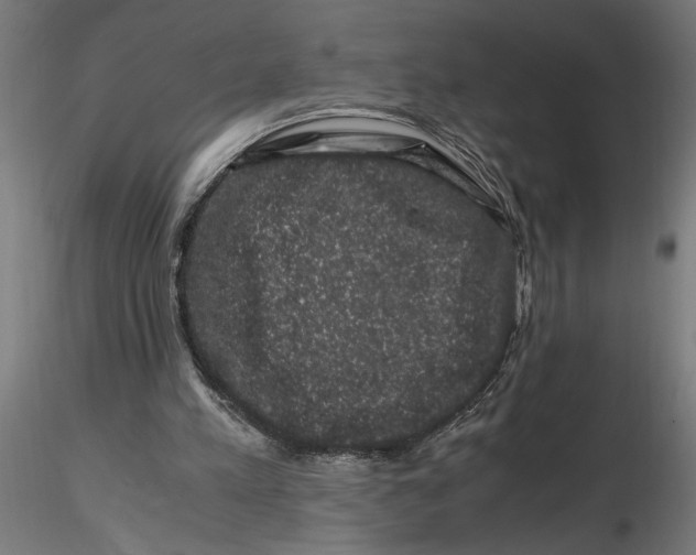 X0000116780197201001071244