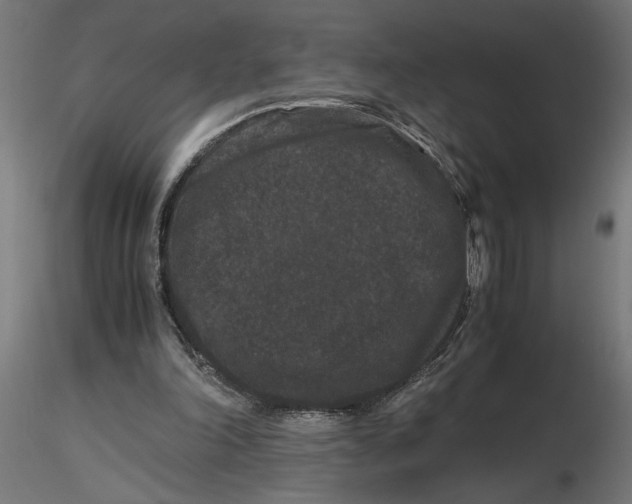 X0000116780198201001071244