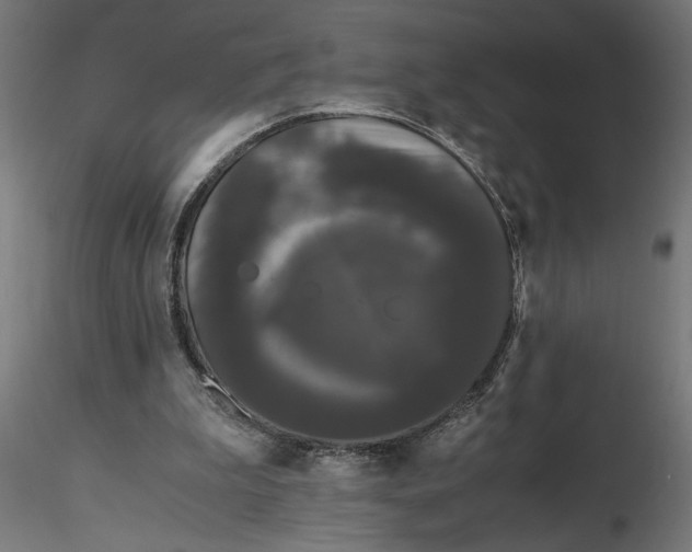 X0000116780199201001071244