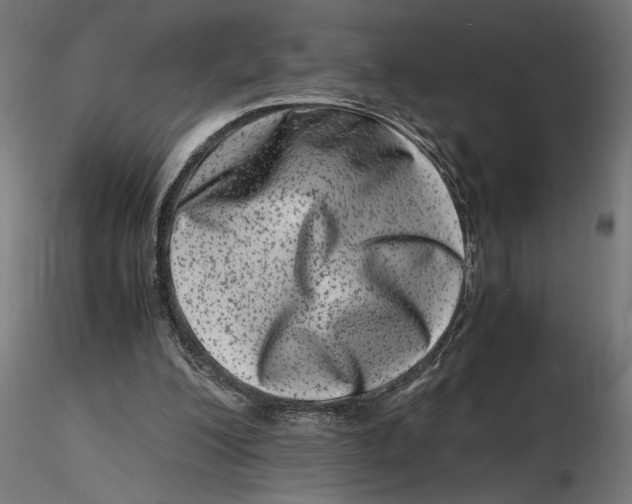 X0000116780200201001071244