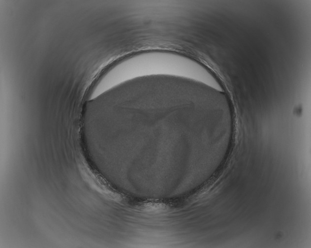 X0000116780203201001071244