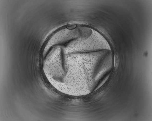 X0000116780204201001071244