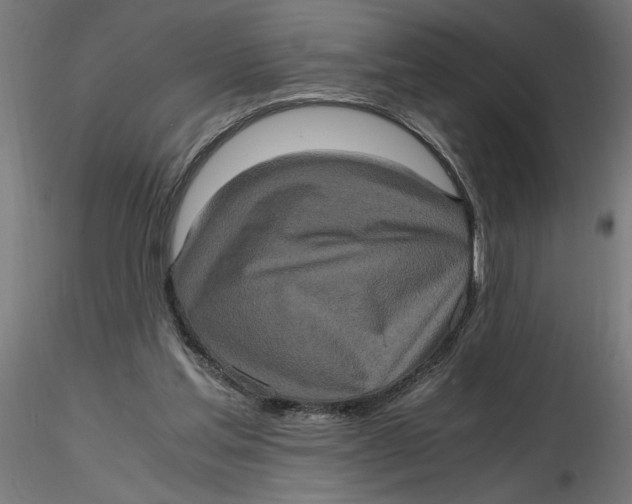 X0000116780205201001071244