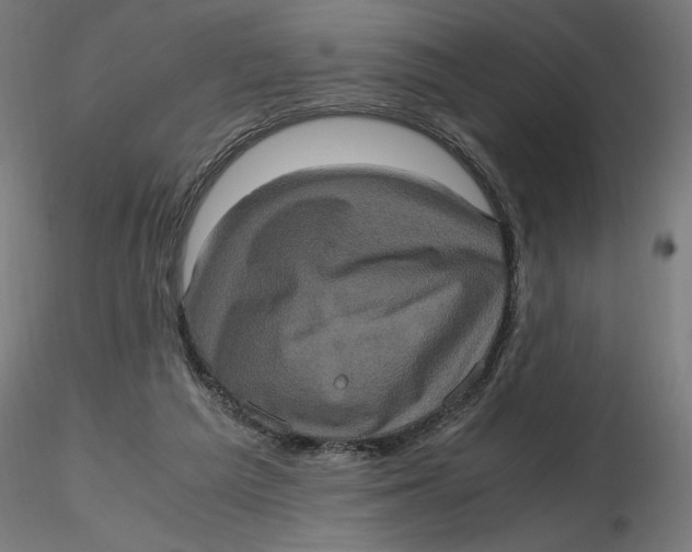 X0000116780209201001071244