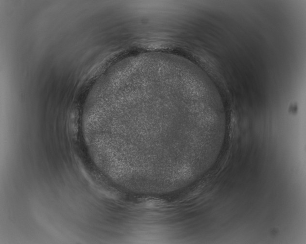 X0000116780210201001071244