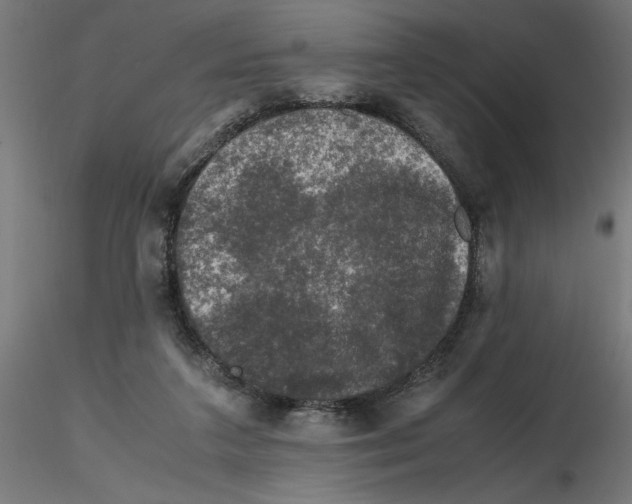 X0000116780211201001071244