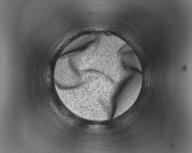 X0000116780212201001071244