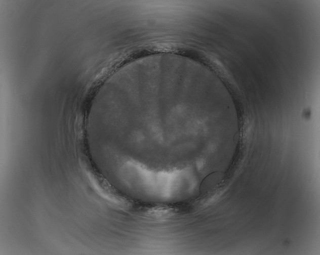 X0000116780213201001071244