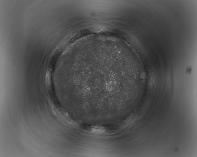 X0000116780214201001071244