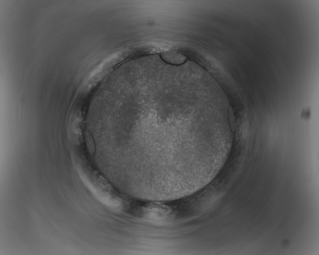 X0000116780215201001071244