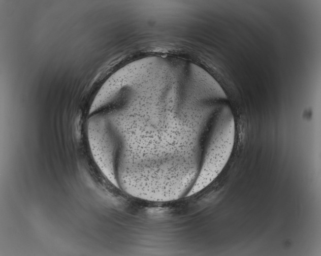 X0000116780216201001071244