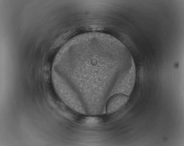 X0000116780218201001071244