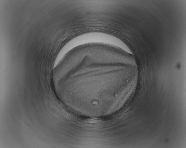 X0000116780219201001071244