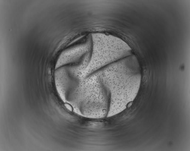 X0000116780220201001071244