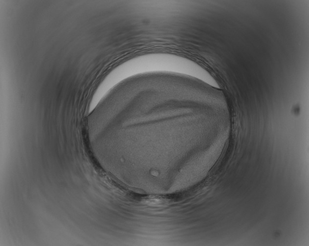 X0000116780221201001071244