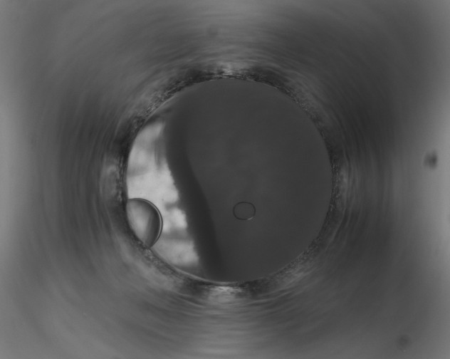 X0000116780222201001071244