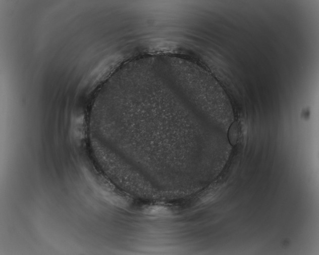 X0000116780224201001071244