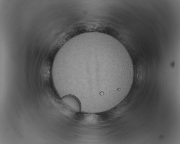 X0000116780226201001071244