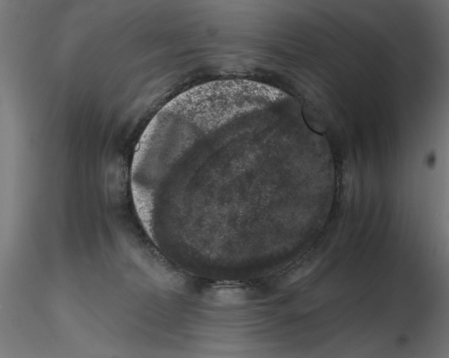 X0000116780228201001071244