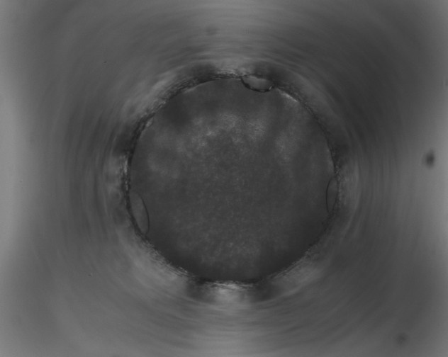 X0000116780229201001071244