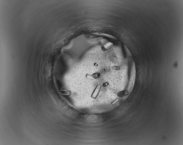 X0000116780230201001071244