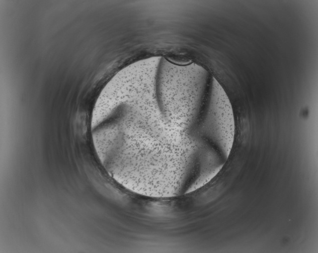 X0000116780232201001071244