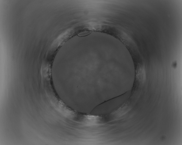 X0000116780233201001071243