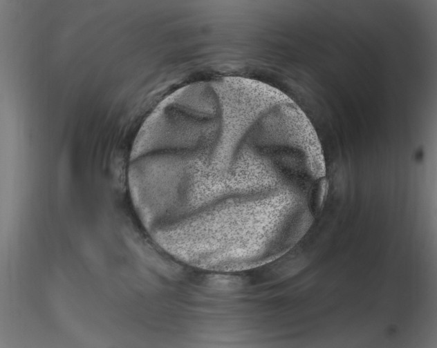 X0000116780234201001071243