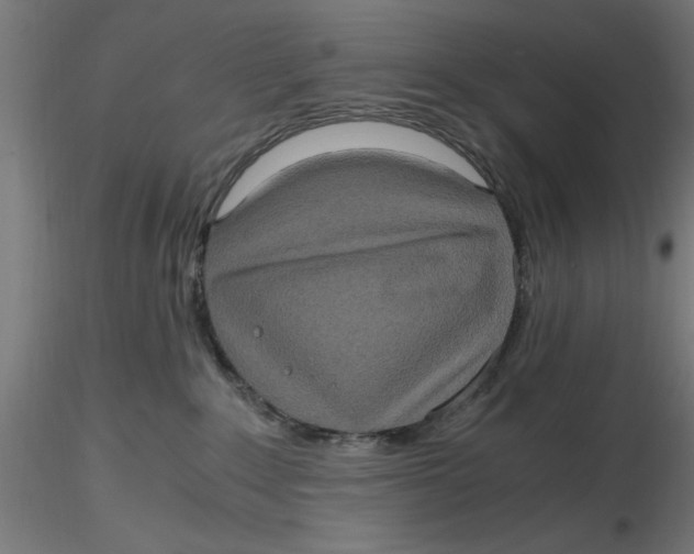 X0000116780235201001071243