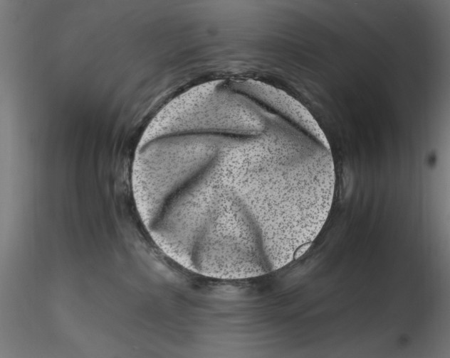 X0000116780236201001071243