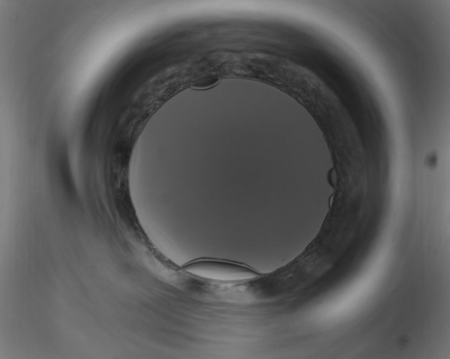 X0000116780239201001071243