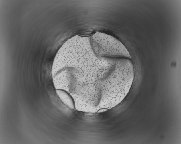 X0000116780240201001071243