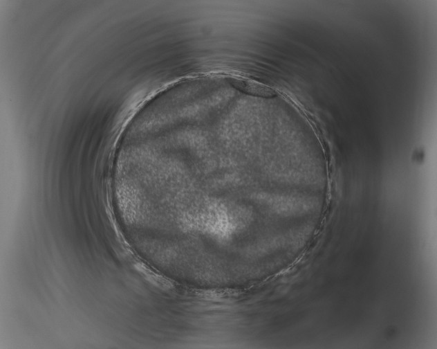 X0000116780241201001071243