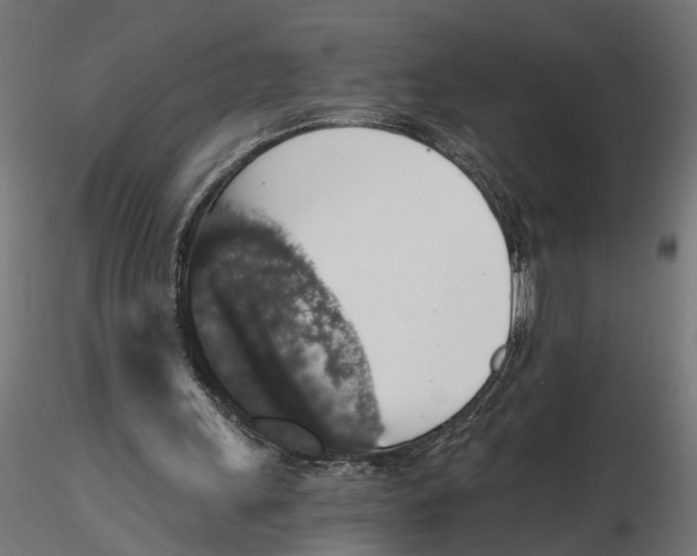 X0000116780243201001071243