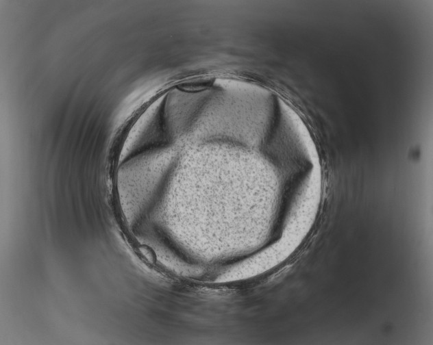 X0000116780245201001071243