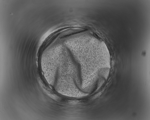 X0000116780246201001071243