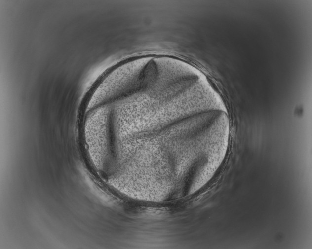 X0000116780248201001071243