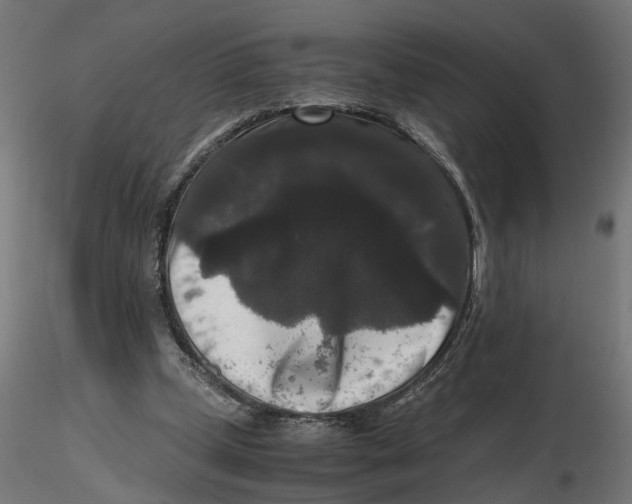 X0000116780249201001071243