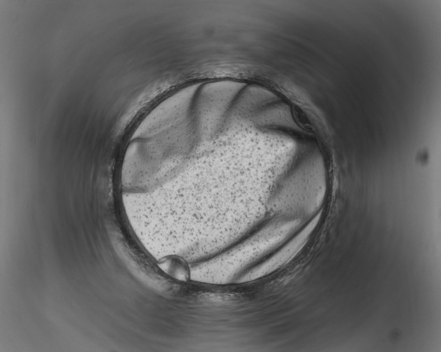 X0000116780250201001071243