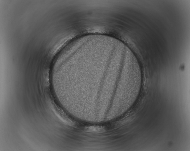 X0000116780251201001071243