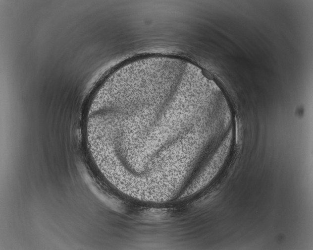 X0000116780252201001071243