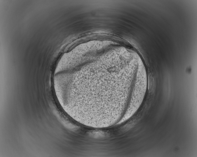 X0000116780253201001071243