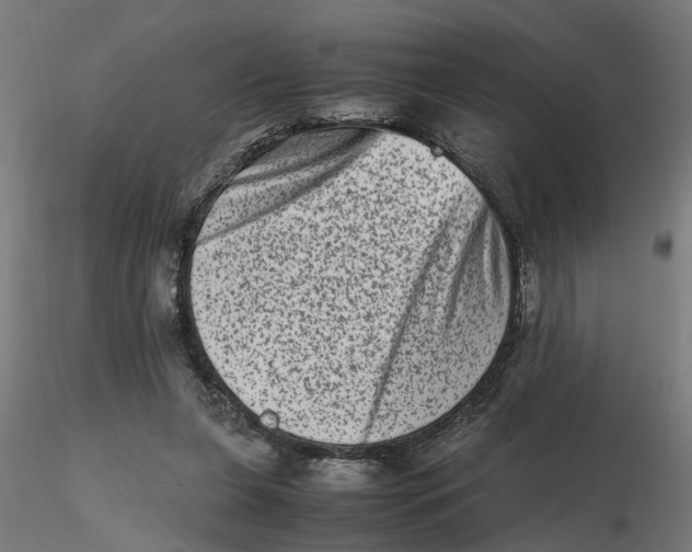 X0000116780255201001071243