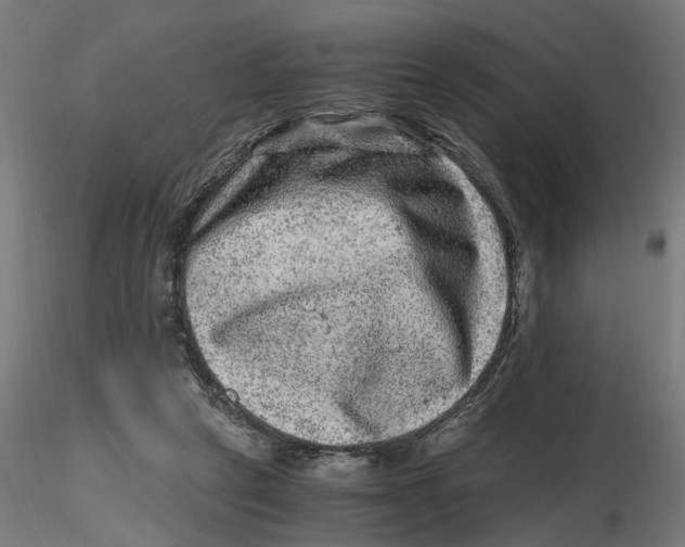 X0000116780257201001071243