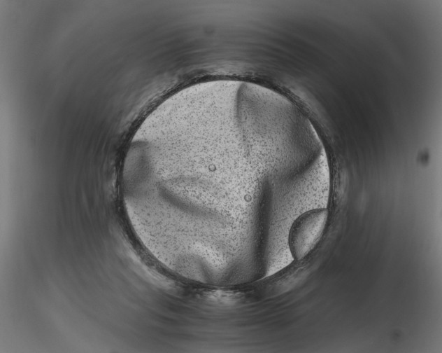 X0000116780261201001071243